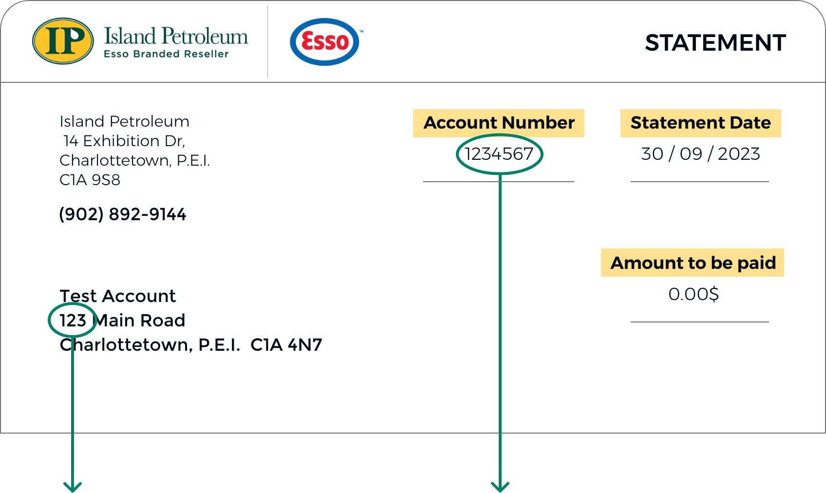 demo account statement