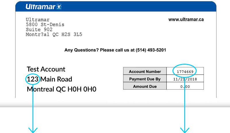 demo account statement