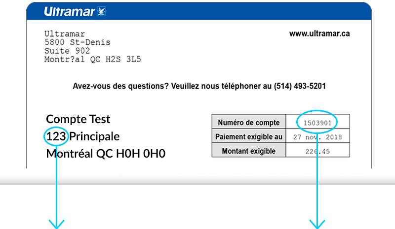 demo account statement